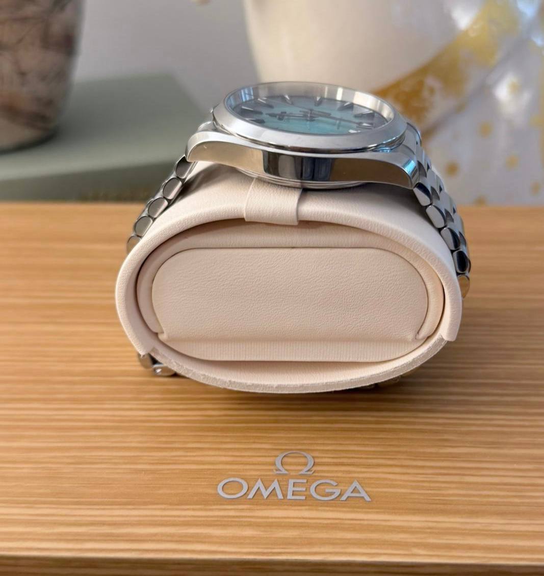 Omega Seamaster Aqua Terra 150M case profile