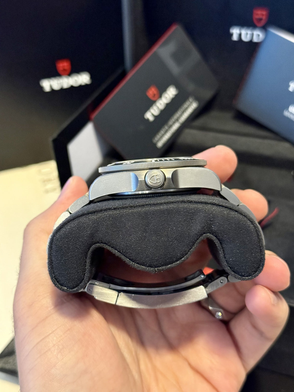 Tudor Pelagos 25600TN titanium case profile and crown