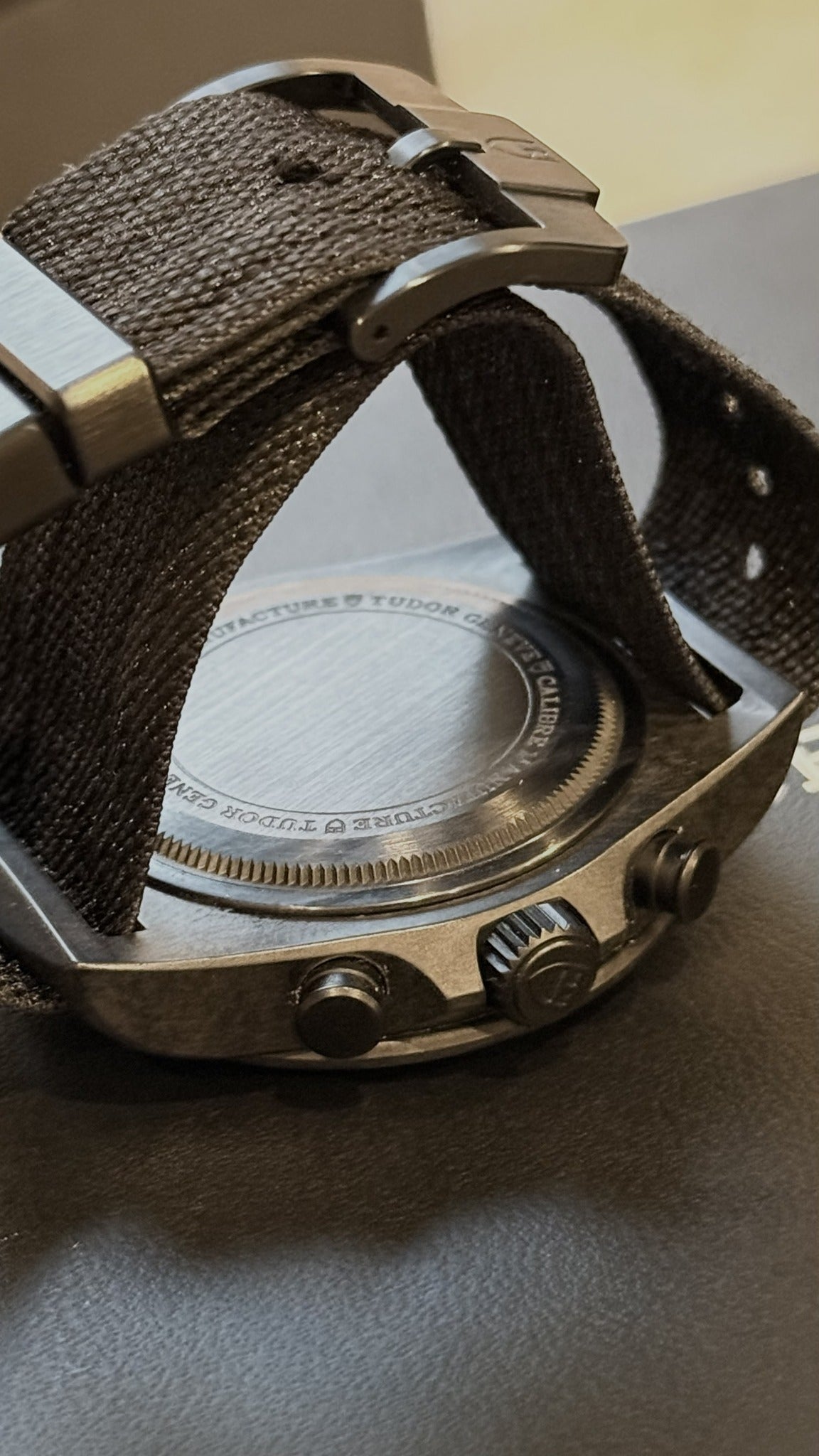 Tudor Pelagos FXD Chrono caseback and strap hardware